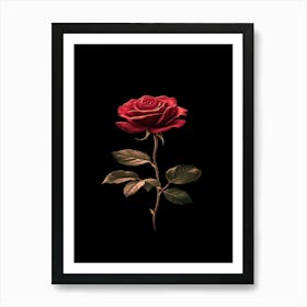 Rose In The Dark 15 Art Print