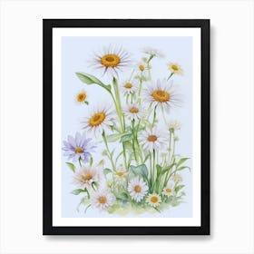 White Daisies Flowers Art Print