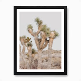 Joshua Tree Scenery Art Print