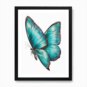 Blue Butterfly Art Print