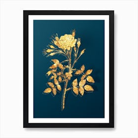 Vintage White Rose of Rosenberg Botanical in Gold on Teal Blue n.0108 Art Print