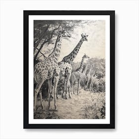 Pencil Portrait Herd Of Giraffes In The Wild  2 Art Print