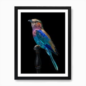 Purple Singing Birds Art Print