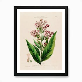 Lily Of The Valley 15 Art Print