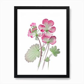 Geranium Floral Quentin Blake Inspired Illustration 1 Flower Art Print