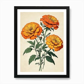 Carnations 1 Art Print