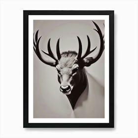 Deer Head Wall Art 1 Art Print