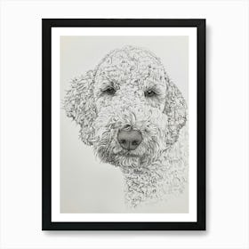 Lagotto Romagnolo Dog Line Sketch 1 Art Print