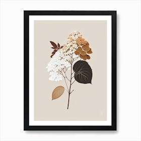 Hydrangea Root Spices And Herbs Retro Minimal 4 Art Print