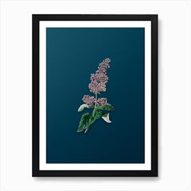 Vintage Lady Josika's Lilac Flower Botanical Art on Teal Blue n.0781 Art Print