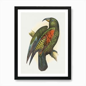 Bird Of Paradise Art Print