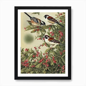 House Sparrow Haeckel Style Vintage Illustration Bird Art Print