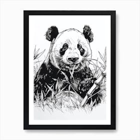 Giant Panda Eating Bamboo Ink Illustration 2 Art Print