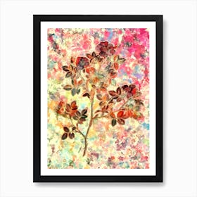 Impressionist Rose Corymb Botanical Painting in Blush Pink and Gold n.0006 Art Print
