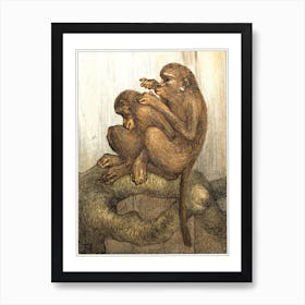 Flying Monkeys (1878–1910), Theo Van HoytemaTheo Van Hoytema Art Print