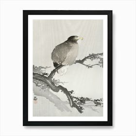 White Tailed Eagle On Branch (1900 1930), Ohara Koson Art Print