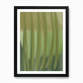 Ferns Art Print