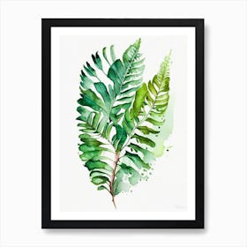 Five Finger Fern Watercolour Art Print