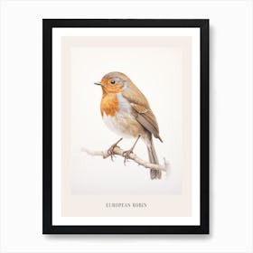 Vintage Bird Drawing European Robin 1 Poster Art Print