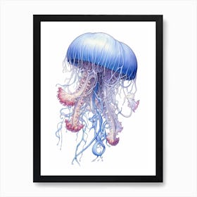 Portuguese Man Of War Jellyfish 1 Art Print