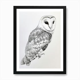 Oriental Bay Owl Drawing 1 Art Print