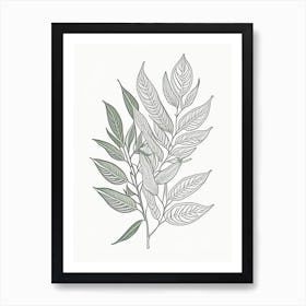 Bay Leaves Herb William Morris Inspired Line Drawing 2 Art Print