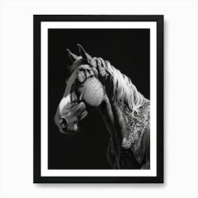 Black And White Horse Art Print