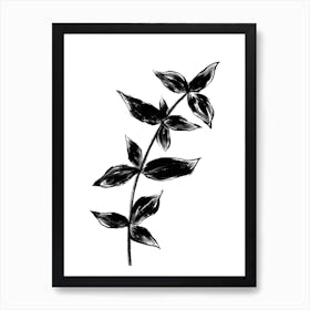 Black Plant Two Art Print