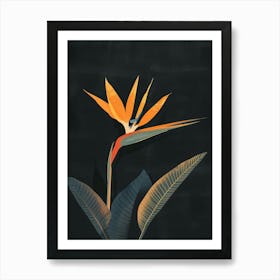 Bird Of Paradise 17 Art Print