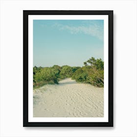 Sullivan's Island on Film Art Print