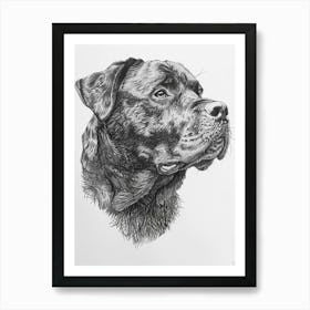 Rottweiler Dog Line Sketch4 Art Print