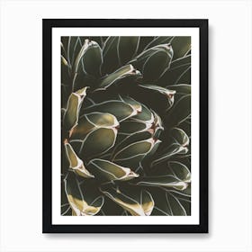 Green Cactus Bloom Art Print