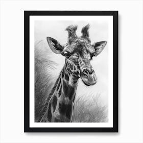 Giraffe In The Grass Pencil Drawing 9 Art Print