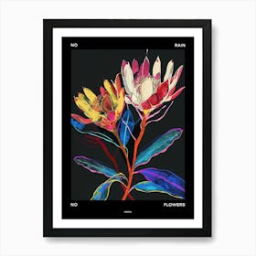 No Rain No Flowers Poster Protea 2 Art Print