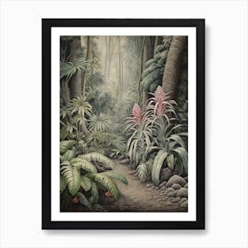 Vintage Jungle Botanical Illustration Bromeliads 4 Art Print