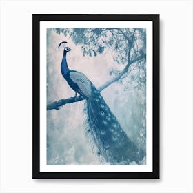 Vintage Turquoise Peacock In A Tree Cyanotype Inspired3 Art Print