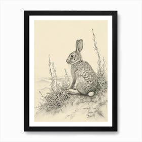 Argente Rabbit Drawing 2 Art Print