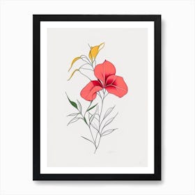 Mandevilla Floral Minimal Line Drawing 1 Flower Art Print