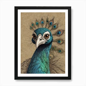 Peacock 18 Art Print