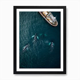 Whales From Above Art Print
