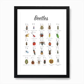 Beetles Alphabet Art Print