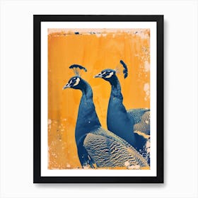 Two Orange & Blue Vintage Peacocks 2 Art Print