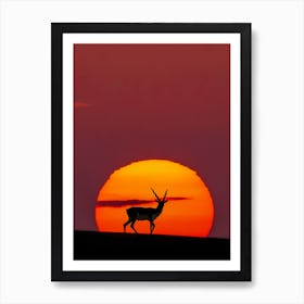 Sun Crossing Art Print