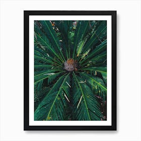 Green Tropicals Ii Art Print