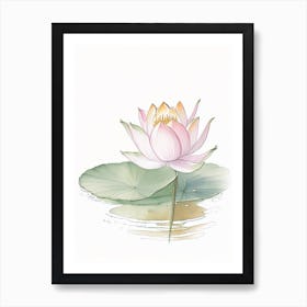 Blooming Lotus Flower In Pond Pencil Illustration 3 Art Print