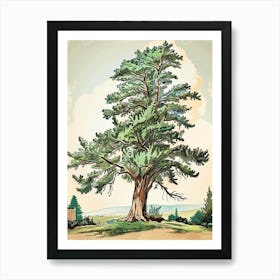 Cypress Tree Storybook Illustration 4 Art Print