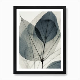 Black White Leaf Image Art Print