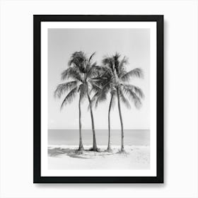 Three Palm Trees On The Beach 5 Art Print