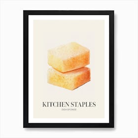 Kitchen Staples Dish Sponge 1 Art Print