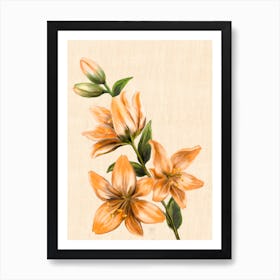 Lily Flower Art Print